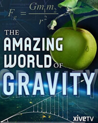 Trọng Lực Và Cuộc Sống