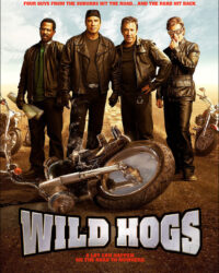 Tứ Quái Đi Hoang