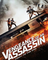 Vengeance of an Assassin