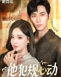 Vi Phạm Vì Yêu Vi Phạm Vì Yêu