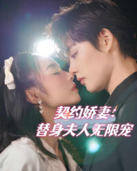 Vợ Hợp Đồng: Tình Yêu Vô Hạn Của Người Thay Thế