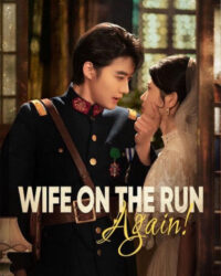 Vợ lại bỏ trốn Vợ lại bỏ trốn
