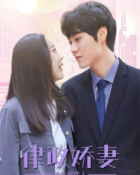 Vợ Ngọt Ngào Của Luật Sư - Tình Yêu Hạnh Phúc