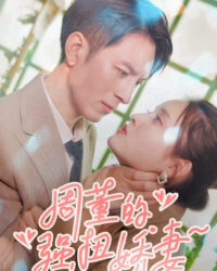 Vợ Nhỏ Của Tổng Giám Đốc