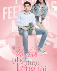 Vô Tình Nhặt Được Tổng Tài Vô Tình Nhặt Được Tổng Tài