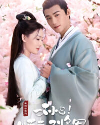 Vô Tình Phải Lòng Tướng Quân (Trộm Phải Tim Chàng) Vô Tình Phải Lòng Tướng Quân (Trộm Phải Tim Chàng)