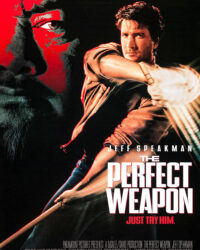 Vũ Khí Hoàn Hảo