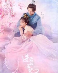 Vương Phi Tiến Công Vương Phi Tiến Công