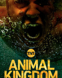 Vương quốc động vật (Phần 3)