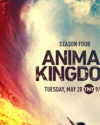 Vương quốc động vật (Phần 4)