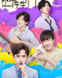 Xin chào các quý ông