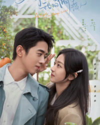 Xin Chào, Người Yêu Quất Tử Của Tôi