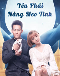 Yêu Phải Nàng Meo Tinh