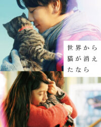 If Cats Disappeared from the World